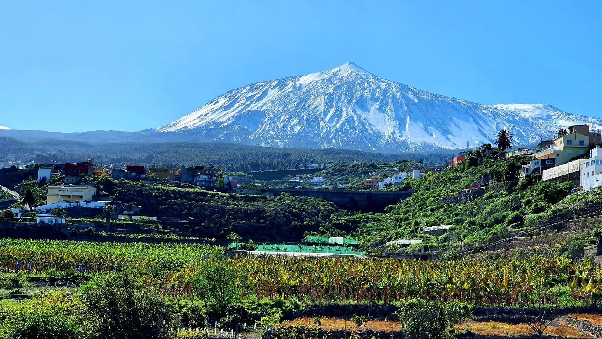 Casa Rural Giovanni & Rosa B Icod De Los Vinos By Hrtenerife Net Holiday home